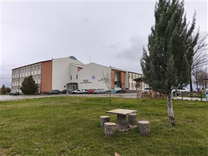 YDYO Etkinlikler